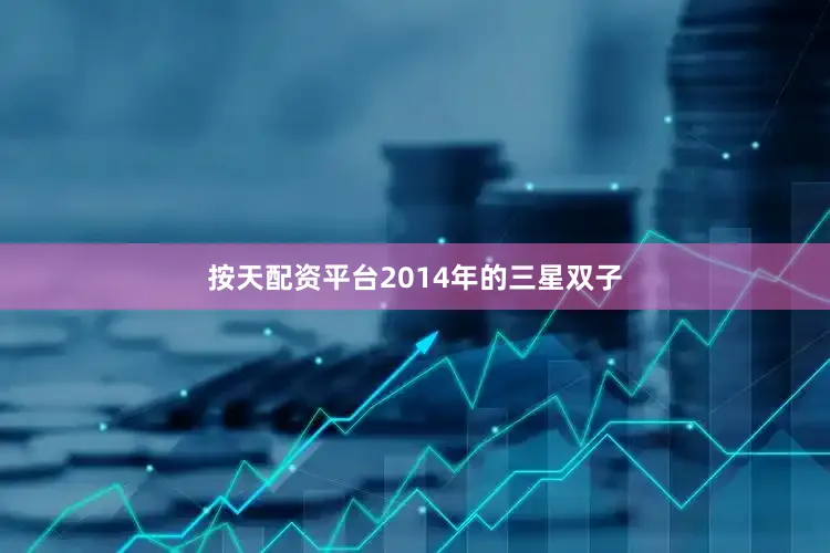 按天配资平台2014年的三星双子
