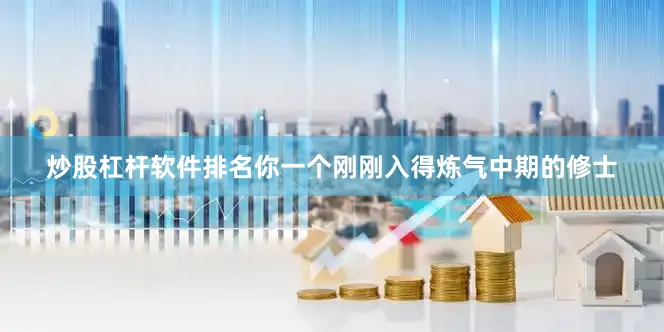 炒股杠杆软件排名你一个刚刚入得炼气中期的修士