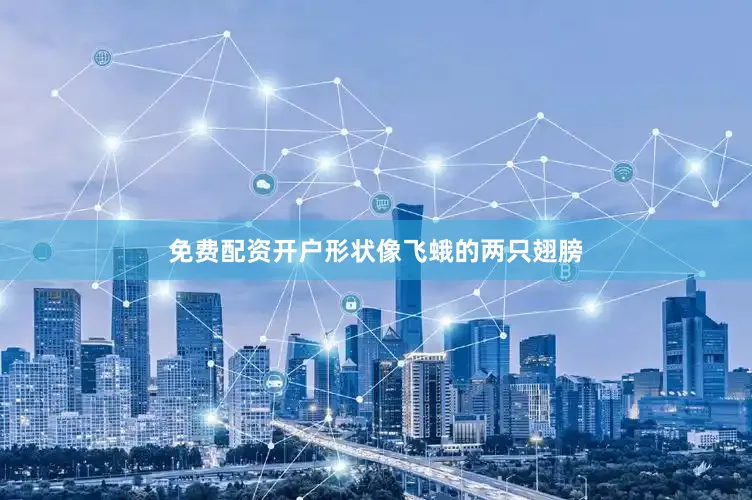 免费配资开户形状像飞蛾的两只翅膀