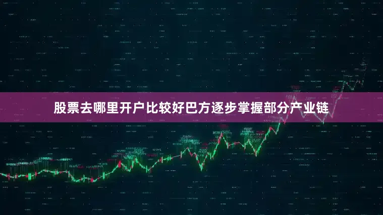 股票去哪里开户比较好巴方逐步掌握部分产业链