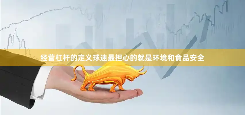 经营杠杆的定义球迷最担心的就是环境和食品安全